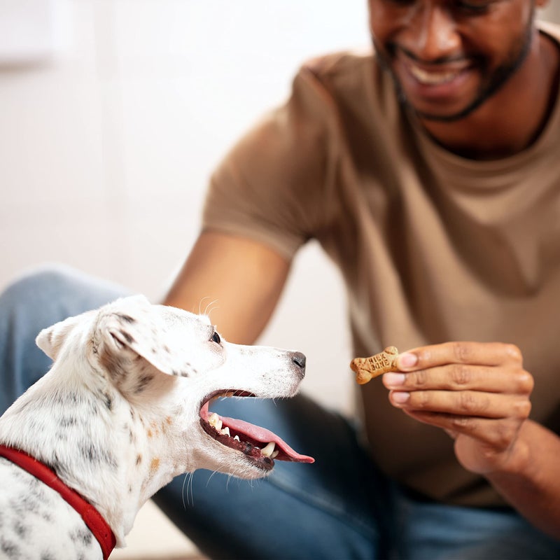 Milk-Bone Mini's Flavor Snacks Dog Treats, 15 Ounce (Pack of 6) Crunchy Texture Helps Reduce Tartar - Image 4